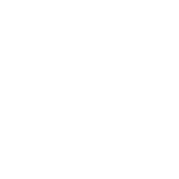 BASA
